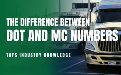 What is the Difference Between a DOT Number and MC Number | TAFS